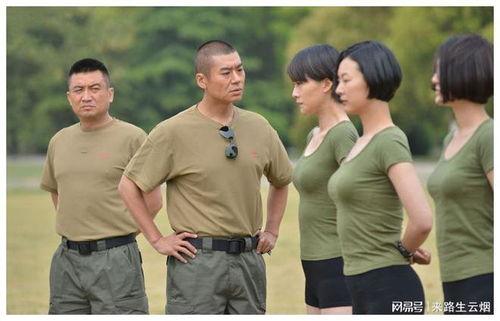 电视剧火凤凰在线观看,热血铸就传奇，在线重温烽火岁月